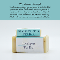 Small and large bar of natural antibacterial soap with eucalyptus